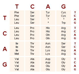 Dna e gene