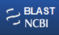 NCBI blastn